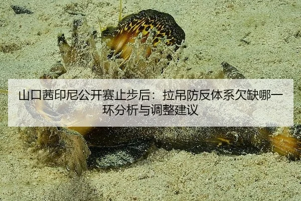 山口茜印尼公开赛止步后：拉吊防反体系欠缺哪一环分析与调整建议